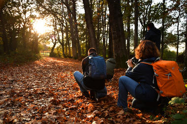 Sortie nature d'automne ©P. Trecul