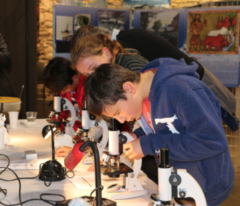 ©l’association Les sciences et nous
