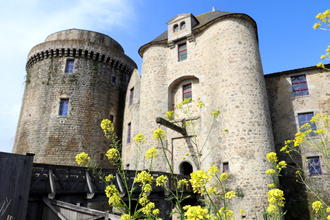 Le château de Saint-Mesmin ©CD85
