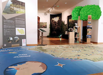 Exposition "Nature, sens et inspiration" à la Vendéthèque de La Châtaigneraie