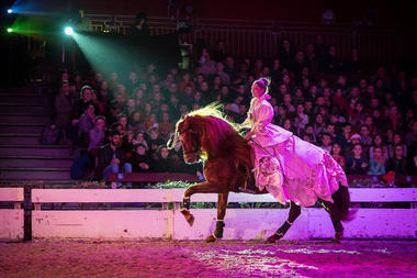 Noël au Haras de la Vendée ©D. Fugère