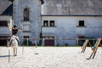 Cavalcades au Haras de la Vendée ©David Fugère