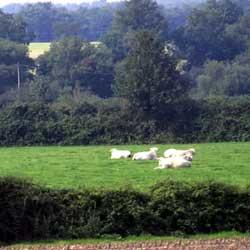 La Gaubretière
