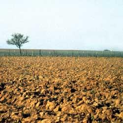 Plaine du Langon
