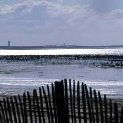 Vue sur le pont de Noirmoutier