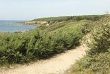 Paysage du Littoral vendéen 1