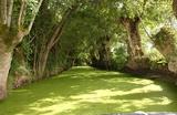 Paysage du Marais poitevin 2