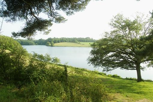 Paysage du Bocage au Littoral vendéen 2