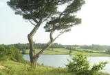 Paysage du Bocage au Littoral vendéen 1