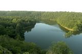 Forêt de Mervent