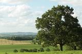 Paysage du Bas Bocage vendéen