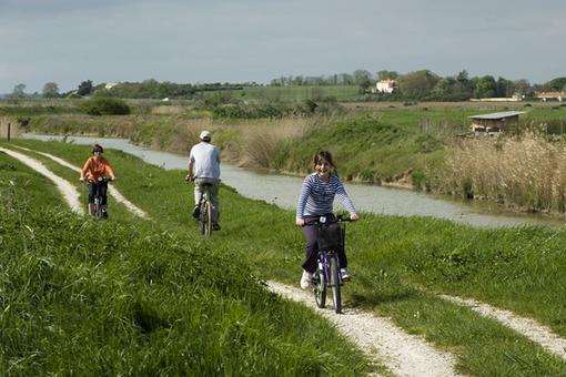 Piste du Marais vendéen 3
