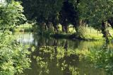 Rive de l'Autise