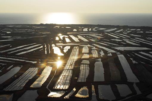 Marais salants