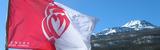 Le drapeau vendéen s'exporte