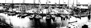Port Olona - La foule sur les pontons (NB)