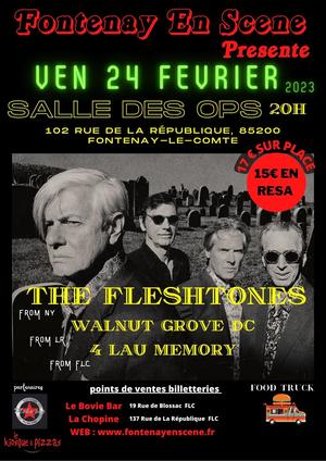 Affiche du concert