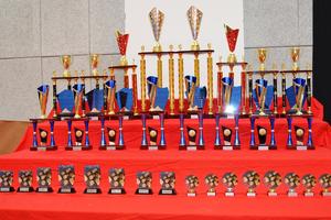 TROPHEES CONCOURS