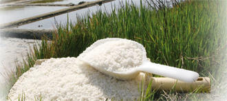 L'or blanc vendéen